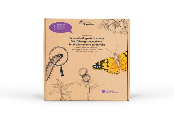 Papillonessa™ Schmetterlings-Aufzuchtset mit Raupen (zum sofort starten)
